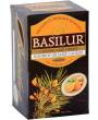 BASILUR Rooibos Orange Ginger Gastro-Teebeutel 25x1,5g