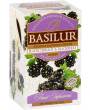 BASILUR Fruit Blackcurrant & Blackberry Gastro-Teebeutel 25x1,8g