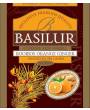 BASILUR Horeca Rooibos Orange Ginger Gastro-Teebeutel