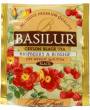 BASILUR Horeca Magic Raspberry Rosehip Gastro-Teebeutel