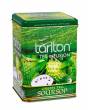 TARLTON Green Soursop Papierverpackung 250g