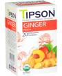 TIPSON BIO Ginger Peach Gastro-Teebeutel 20x1,5g