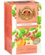 BASILUR Fruit Raspberry Gastro-Teebeutel 25x2g