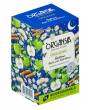 ORGANSIA BIO Bed Time Apple with Elderflower Gastro-Teebeutel 18x1,5g