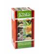 JONES Variationen No.25 Green Gastro-Teebeutel 5x5x2g