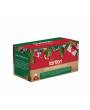 TARLTON Christmas Apple Pumpkin Chai Gastro-Teebeutel 20x1,5g