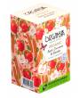 ORGANSIA BIO Apple Cinnamon and Rosehip Gastro-Teebeutel 18x1,8g